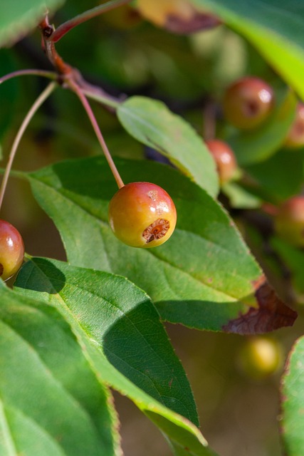科纳特：利物浦会给我一份新报价？我不知道这消息从哪里来的